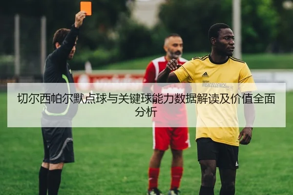 切尔西帕尔默点球与关键球能力数据解读及价值全面分析