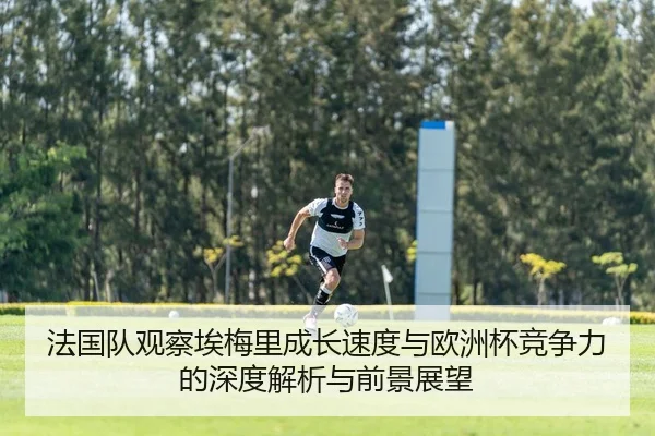 法国队观察埃梅里成长速度与欧洲杯竞争力的深度解析与前景展望